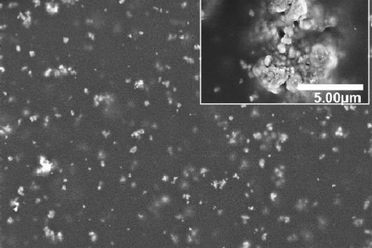 An electron microscope image of the film showing the embedded bismuth ferrite nanoparticles that give the flexible film its electric and magnetic properties (Image: YoungPak Lee/Hanyang University)