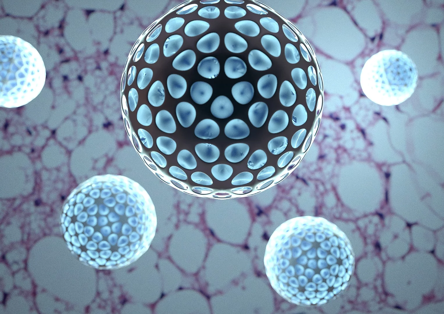 Nanoparticles loaded with a drug called Dibenzazepine could be injected into fat deposits in the body, converting the white fat into brown which is more easily burned