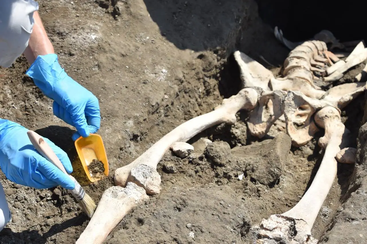 Archaeologists were able to piece together the final moments of the man