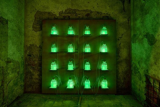 This display at the Museo della Merda shows bioluminescence from genetically modified bacteria feeding off methane gas