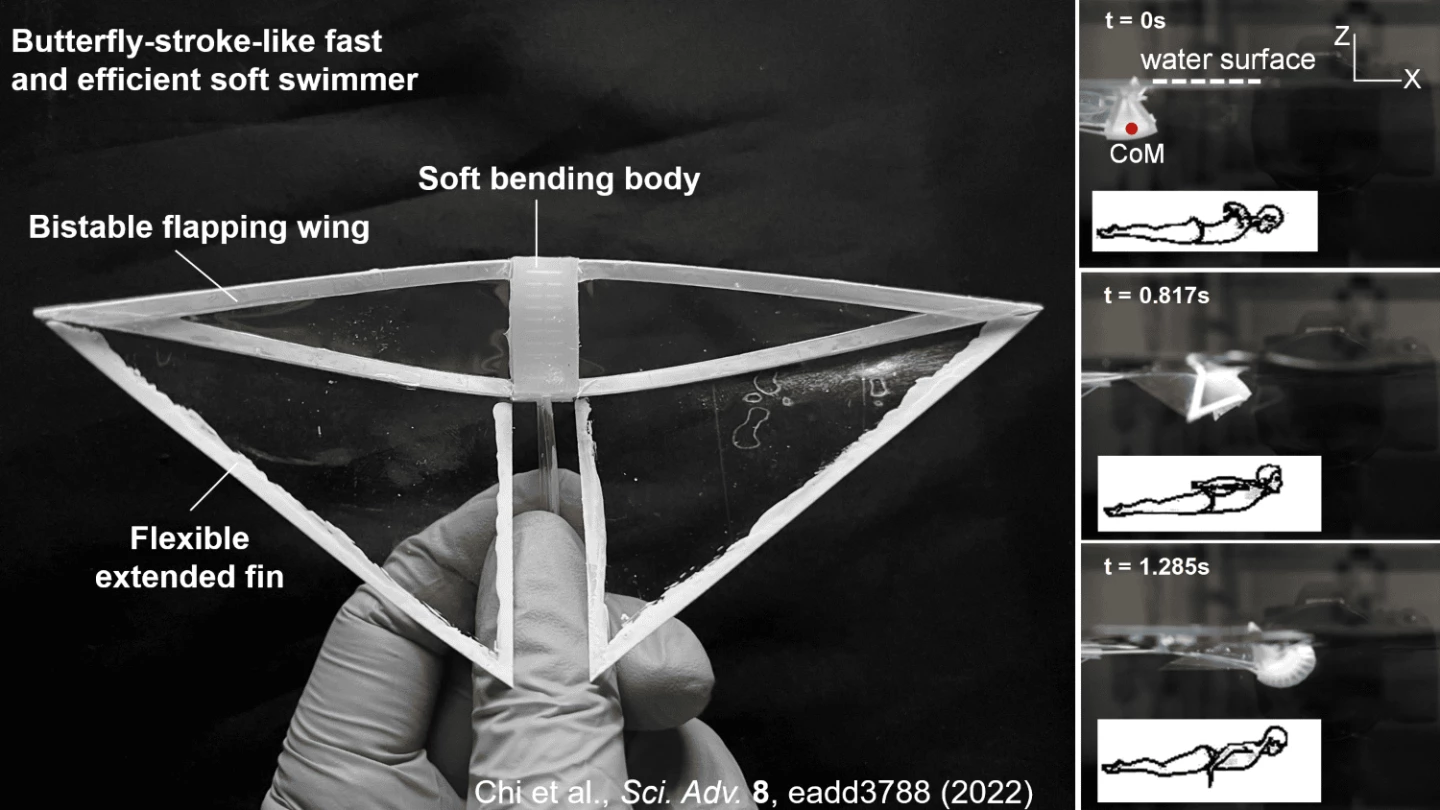 A new robot uses a butterfly-stroke-like motion to move with great speed
