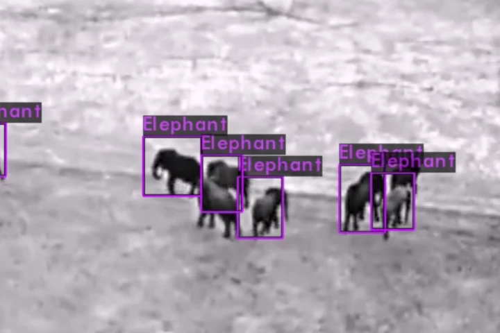 AI software developed by Neurala will be used to analyze drone footage in real time to identify animals, vehicles and poachers