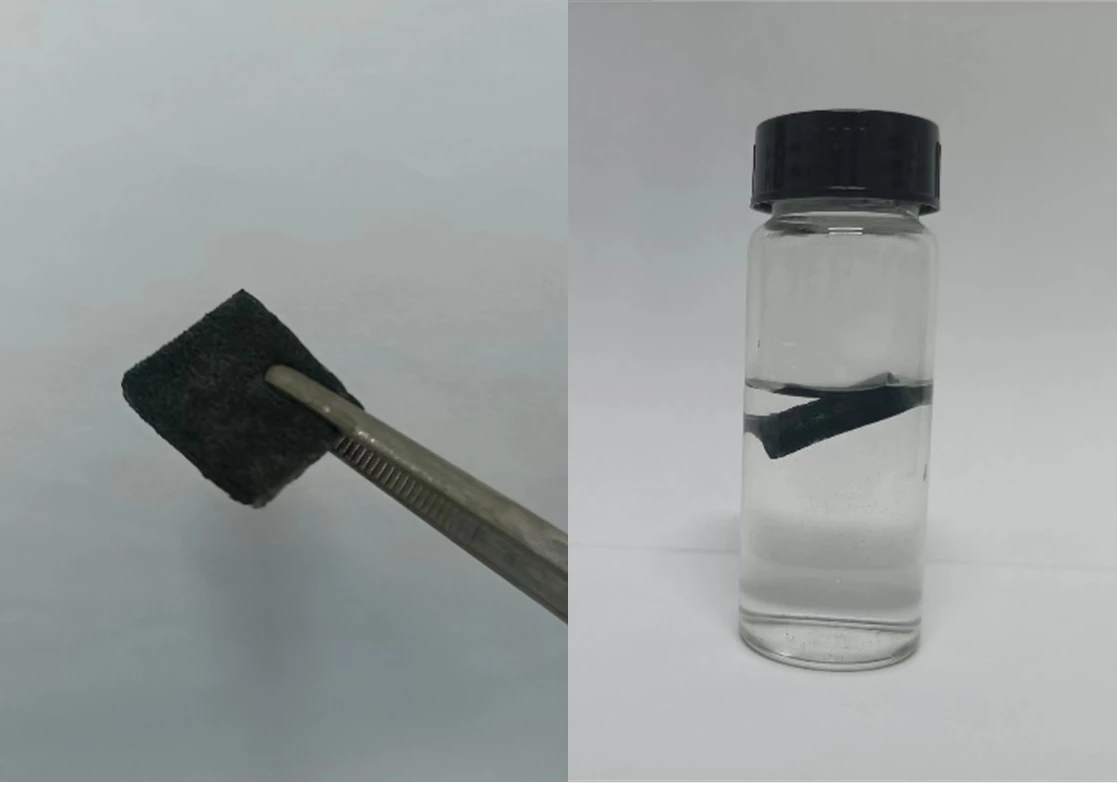 The cyanobacteria-killing sponge, which reportedly shouldn't produce any collateral damage when deployed in the environment