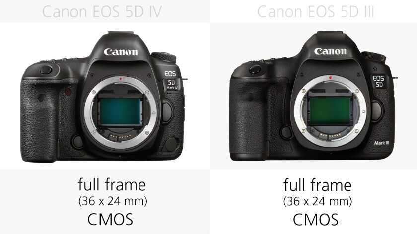 Sensor size (Canon EOS 5D Mark IV and 5D Mark III)
