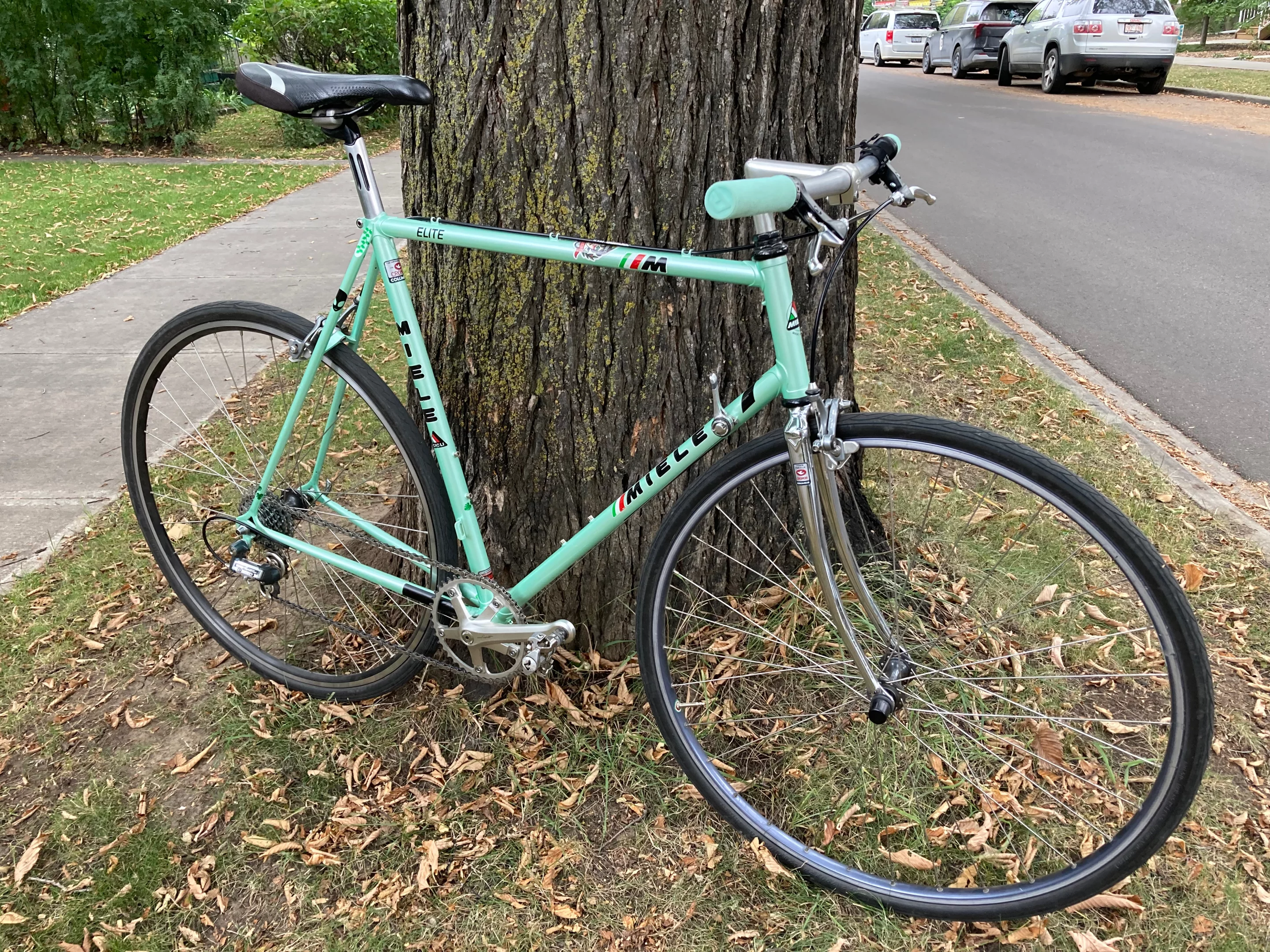 My 1988 Miele Elite – modifications include a flat handlebar, 1 x 7 drivetrain, rebuilt rear wheel, and 700 x 28c tires