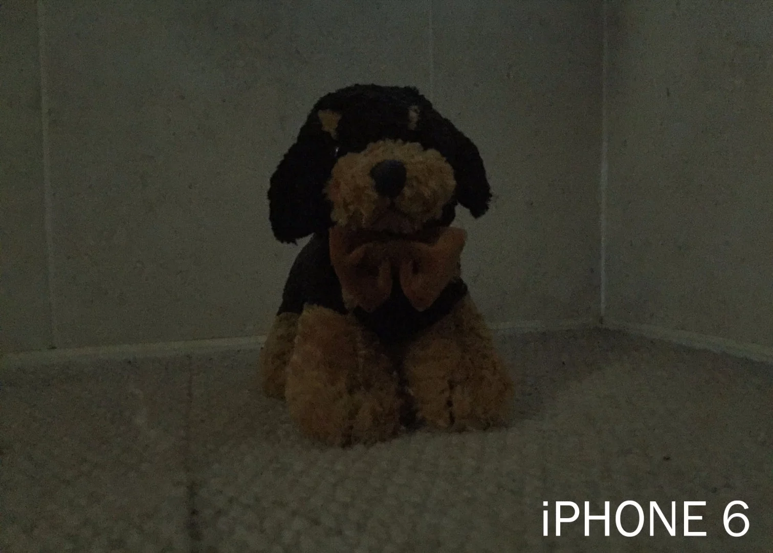 Nearly two years old and the iPhone 6 shows it's still got a very capable low-light camera