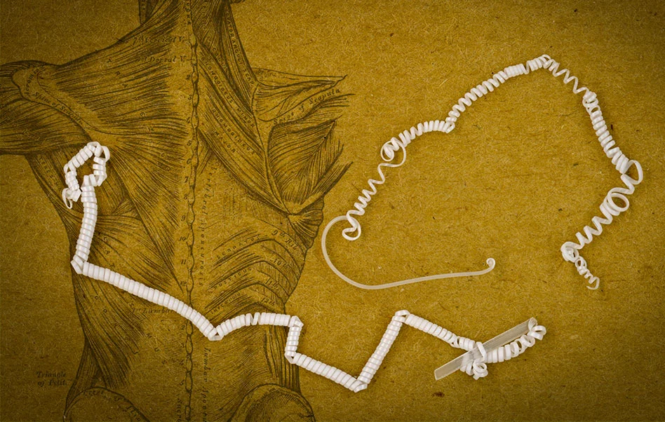 The tiny coils in the fiber developed by MIT researchers curl even tighter when warmed up