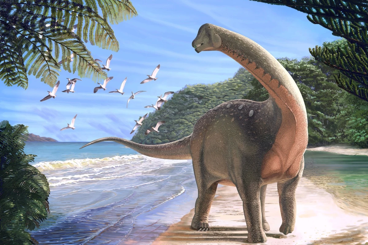 Mansourasaurus shahinae was a school-bus-sized sauropod that plodded around Africa about 80 million years ago