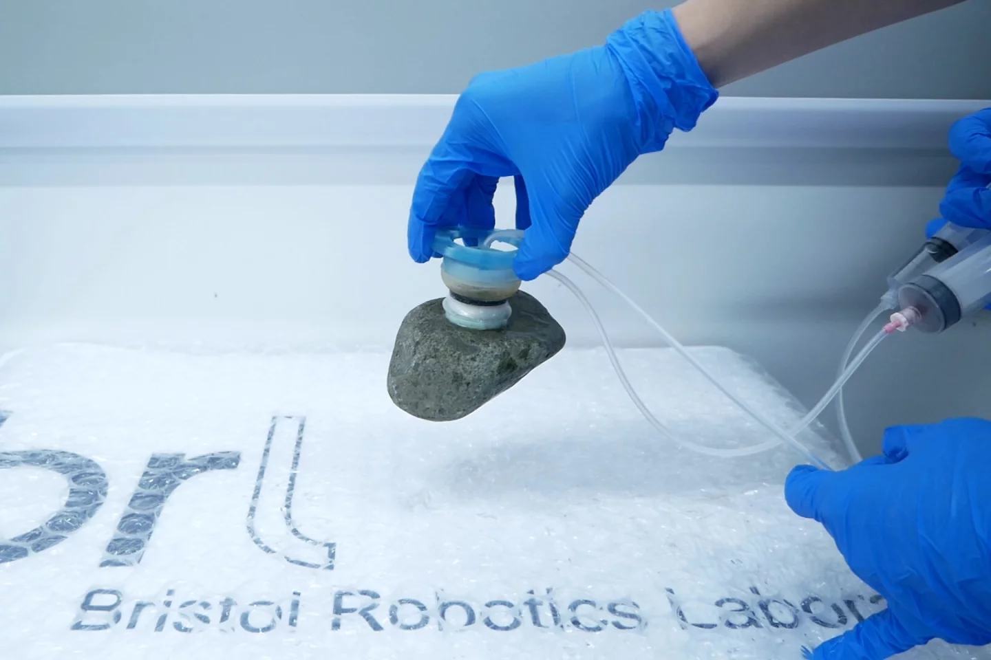 The suction cup in rock-lifting action