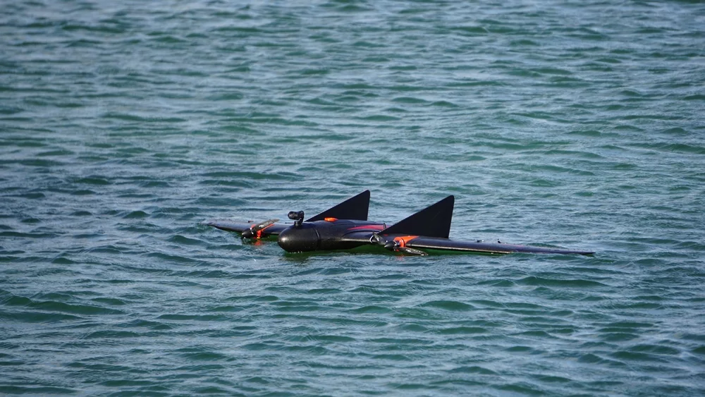 The VT-Naut has a wingspan of 1.96 m (6.4 ft) and tips the scales at 3.1 kg (6.8 lb)