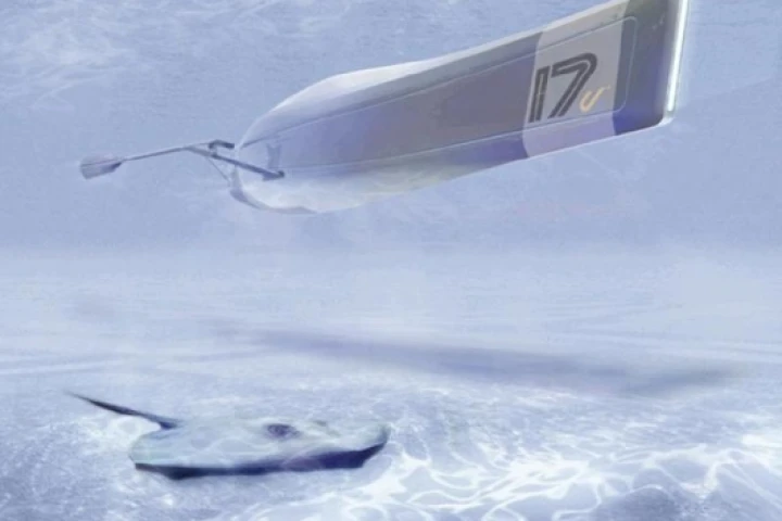 An early prototype in the design process, without the sophisticated oar-structure