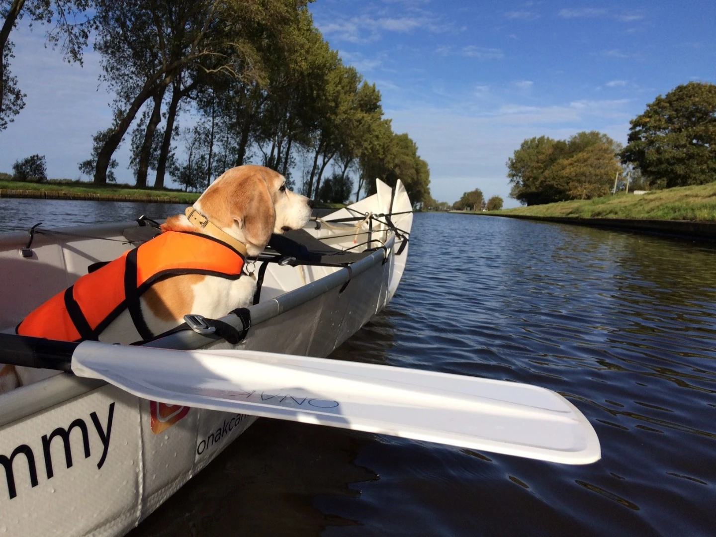 The Onak 2.0 can carry up to 250 kg of cargo and people... and pooches