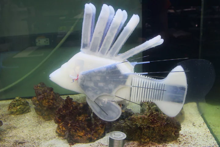 This soft-bodied, robotic fish runs on a blood-like battery fluid that circulates around its body in via synthetic vascular system