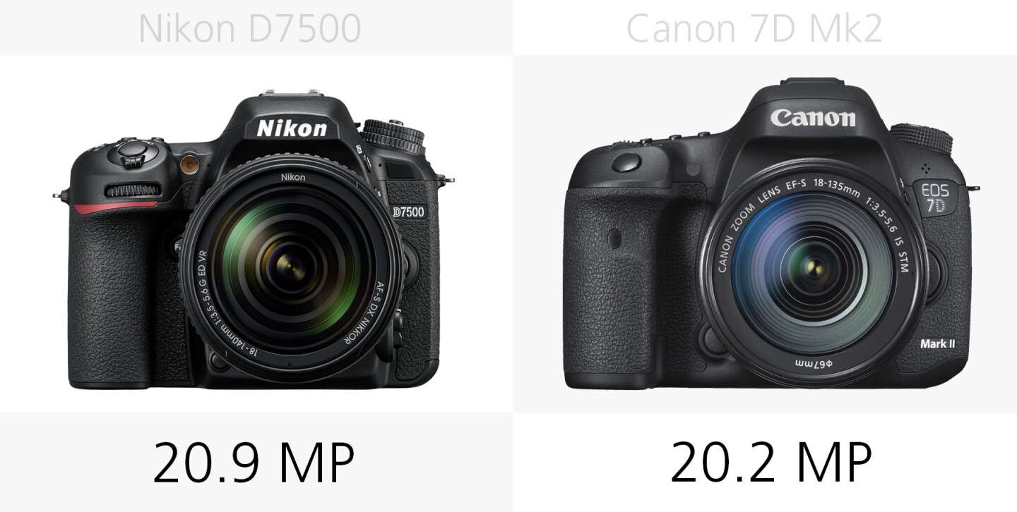 The megapixel counts of the Nikon D7500 and Canon 7D Mark II compared