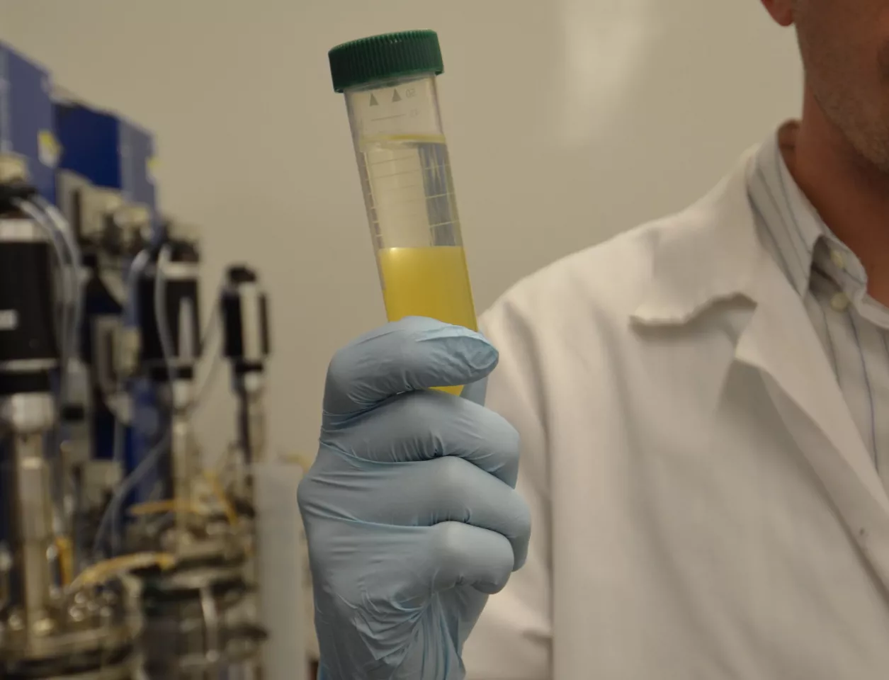The clear liquid at the top of the vial extracts the acetone and butanol, separating the chemicals from the fermenting brew while protecting the bacteria, which are killed by high concentrations of the chemicals (Photo: Robert Sanders, UC Berkeley)