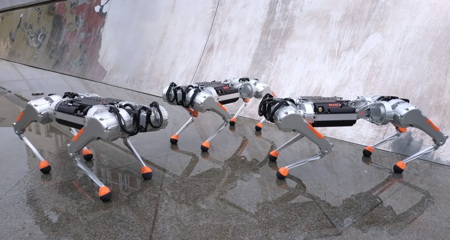 Os quadrúpedes Honey Badger já foram implantados nos túneis de distribuição de aquecimento e nos canais de água/esgoto da cidade de Poznań, na Polônia