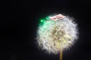 Scientists have developed a novel high-density battery that weighs the same as two grains of rice