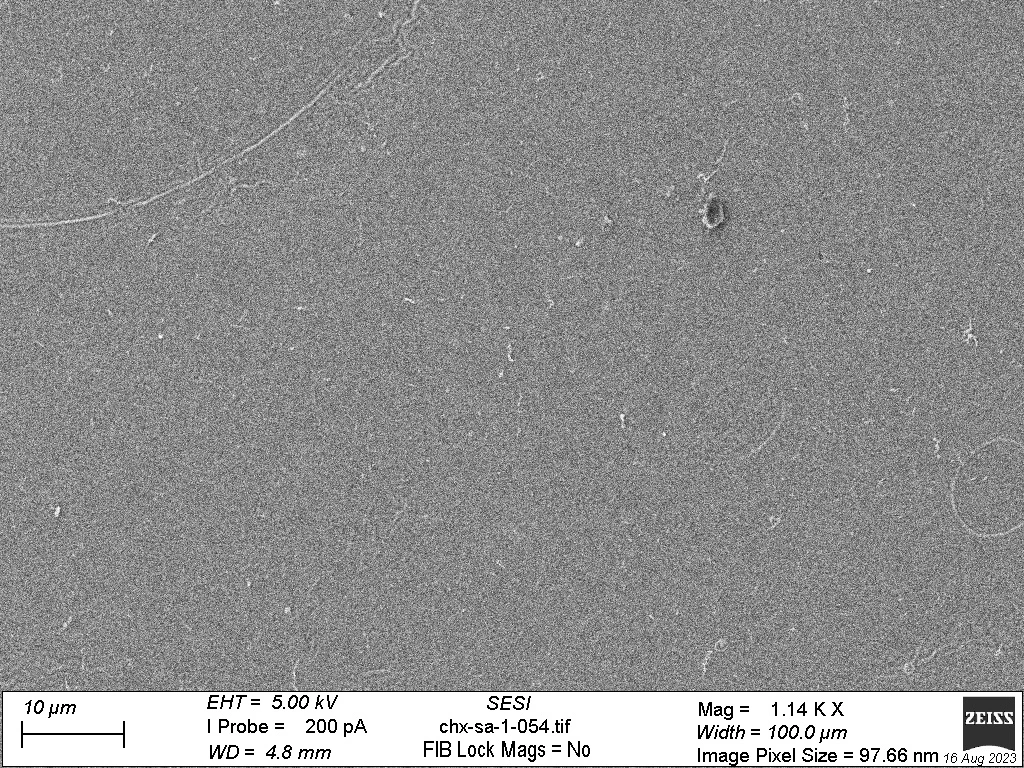 The surface of a steel plate painted with the CHX-containing resin, completely free of previously-added P. aeruginosa bacteria