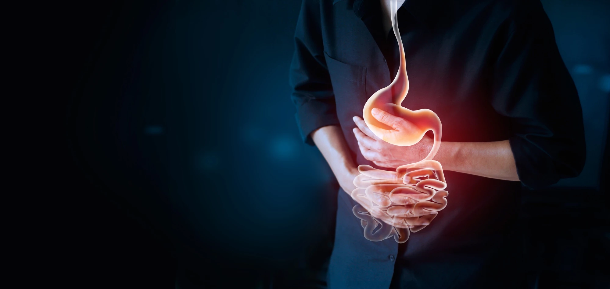 A new study has established a genetic link between Alzheimer's and gut disorders