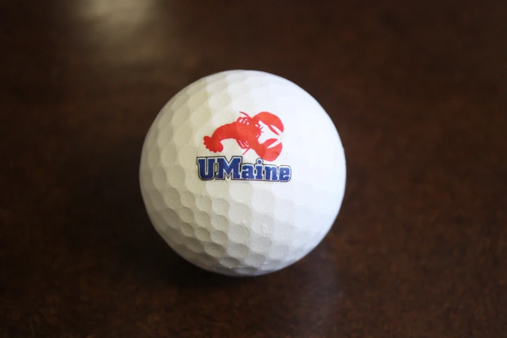 Researchers from the University of Maine have created biodegradable golf balls, made from waste lobster shells