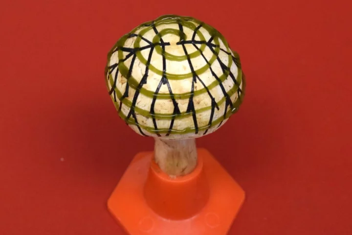 An electrode network (branched pattern) and cyanobacteria (spiral pattern) were 3D-printed onto the mushroom
