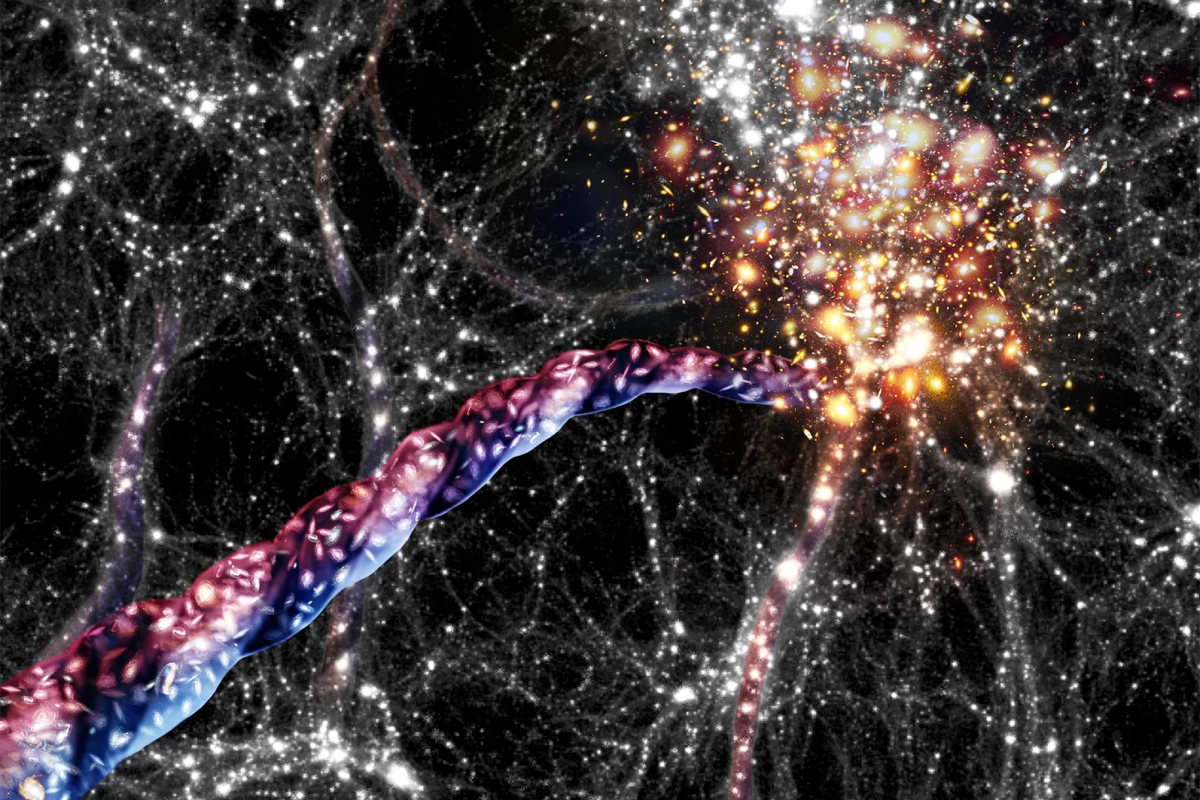 An artist's impression of cosmic filaments. Galaxies appear as bright spots inside the filaments and concentrated in clusters at the ends. Light from the top halves of the filaments was found to be red-shifted (moving away from us) while the bottoms were blue-shifted (moving towards us), indicating the filaments are spinning