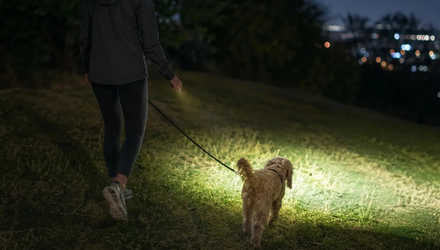 The tiny MK is perfect for throwing into a jacket pocket or purse or carrying on a keychain to have available for situations like when the daily walk goes past sundown