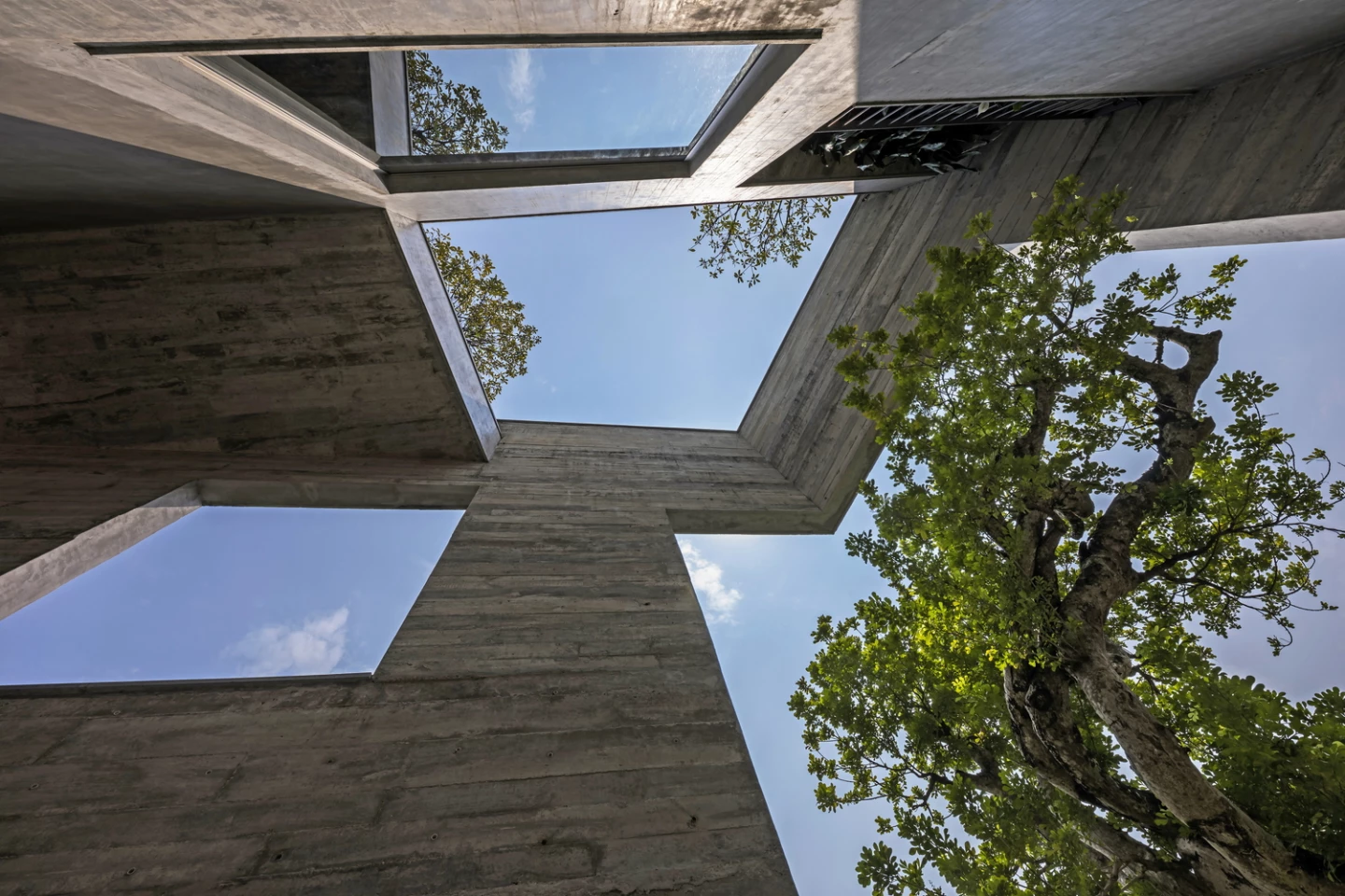 Ha Long Villa will become covered in even more greenery as the trees continue to grow