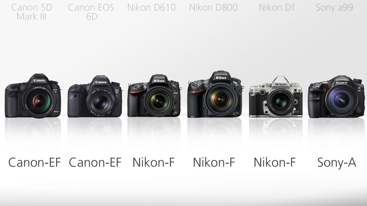 No surprises here, all of the cameras use the expected lens mount of their respective manufacturers