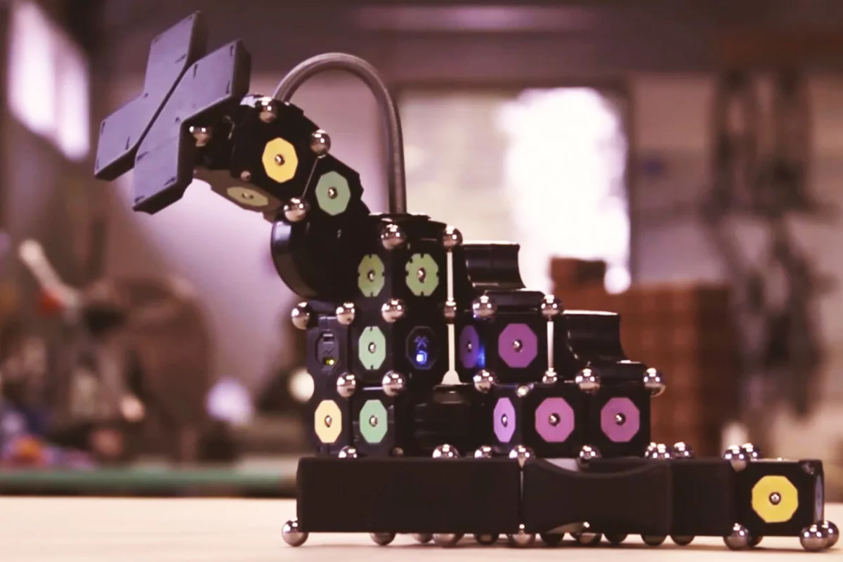 One of the robotic creations possible with MOSS modular robot construction system