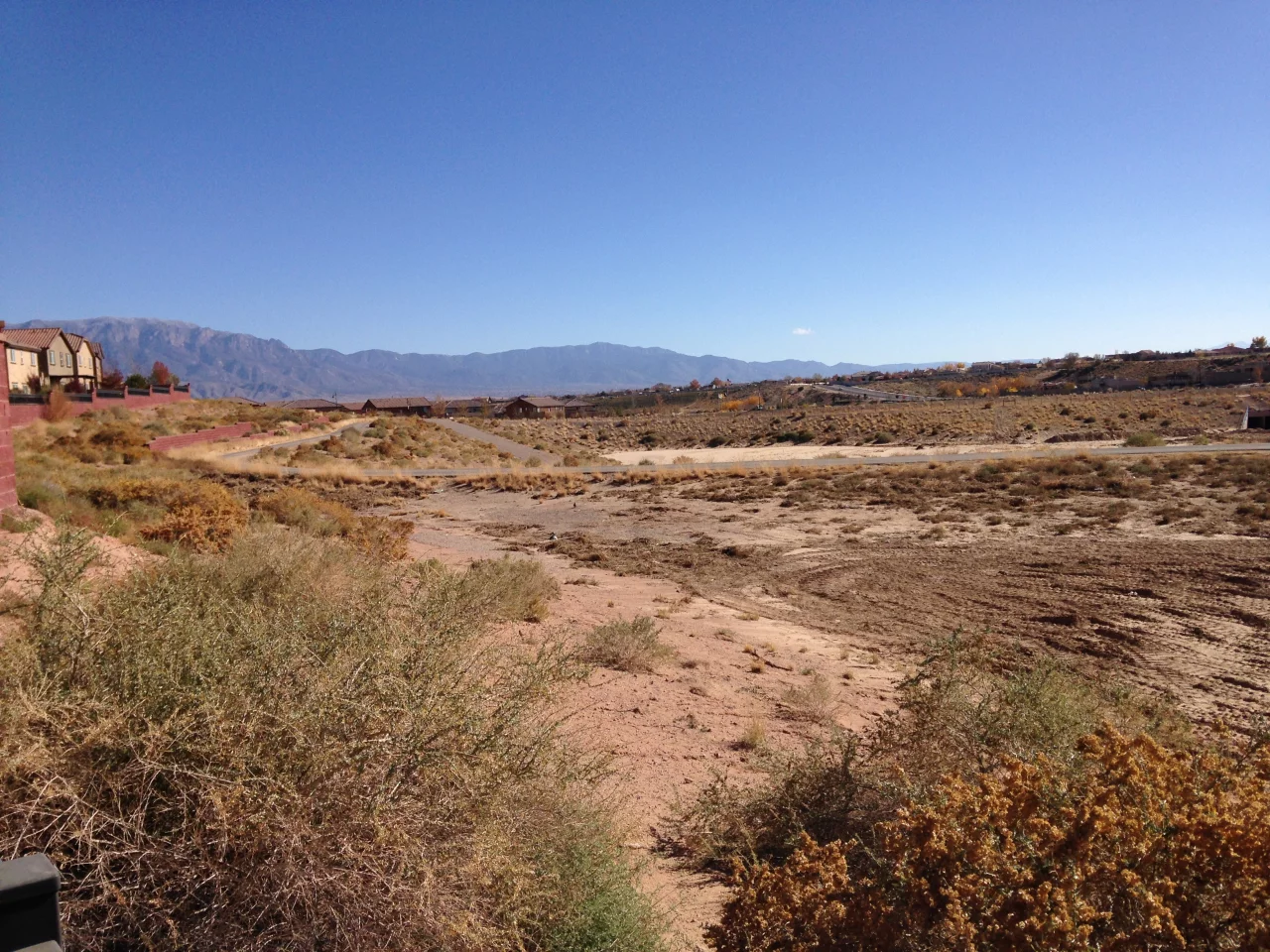 Another outdoor shot with the 5c