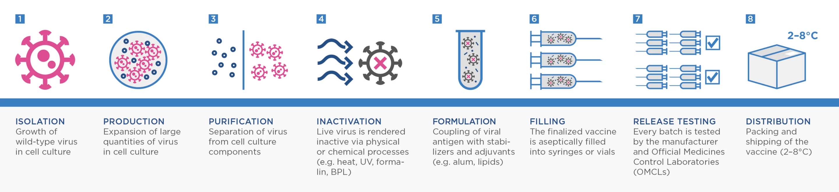 The manufacturing process for Valneva's whole-virus vaccine