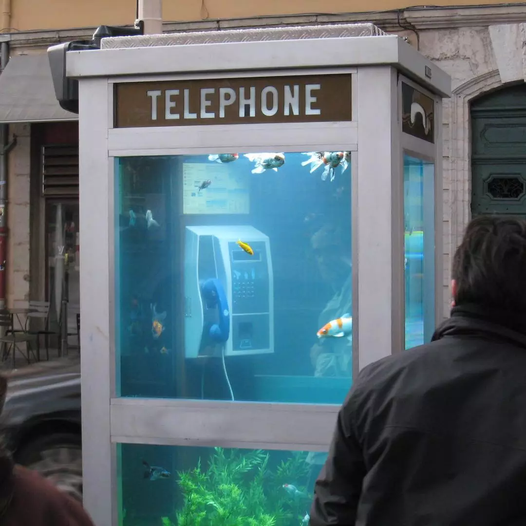 The telephone aquarium in Lyon 2007 - with Benoit Deseille