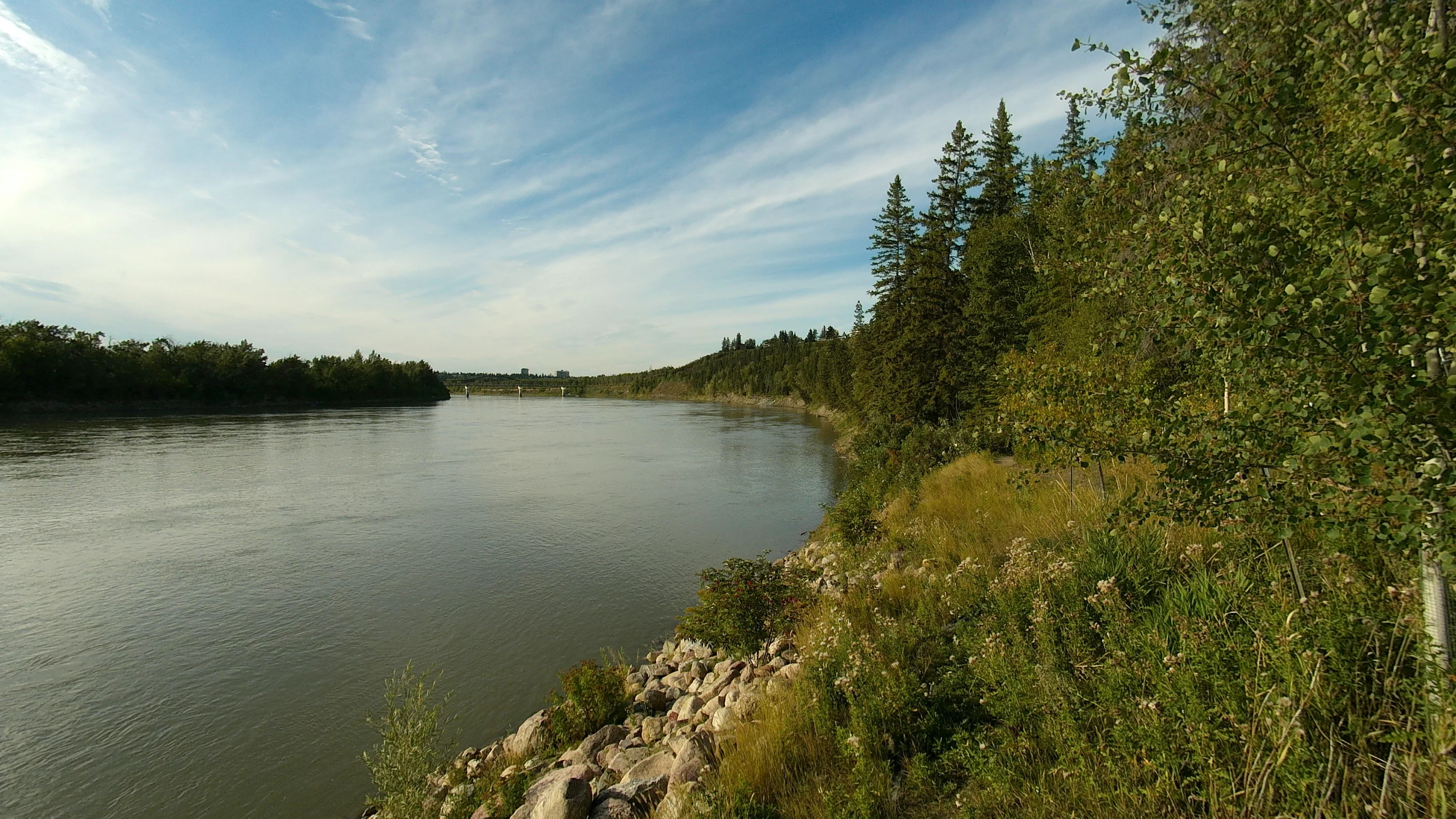 The Feiyu Pocket 2S takes decent still photos