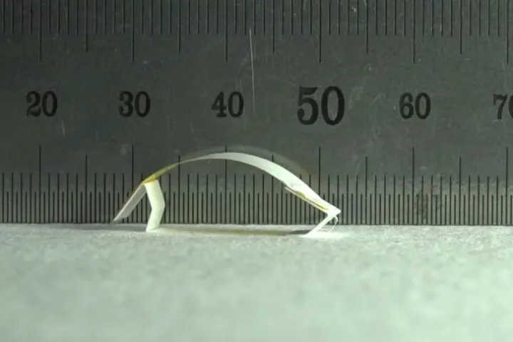The microbot concept in motion