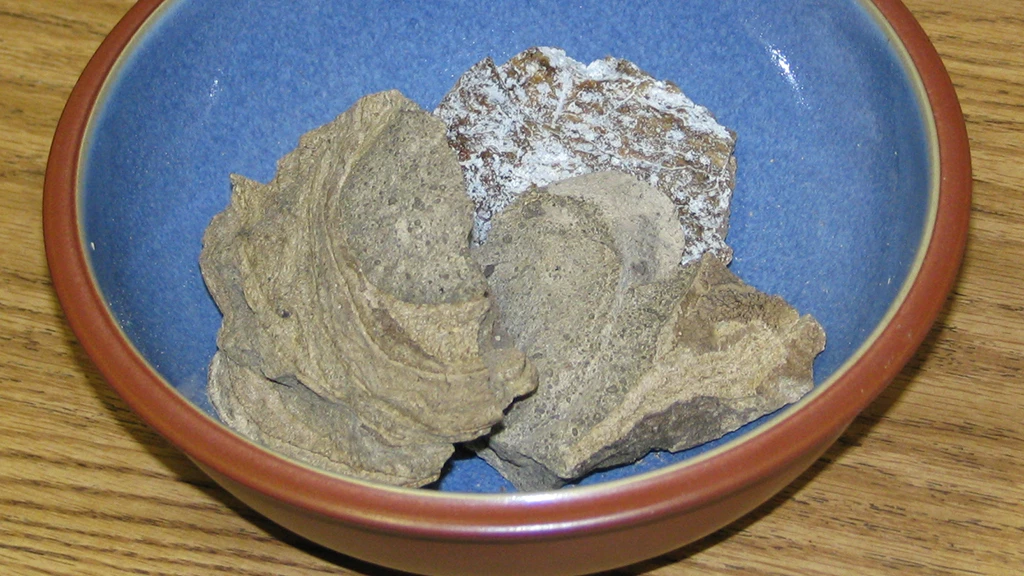 Researchers have found a cost-effective way to produce an alternative to ambergris (Photo: Peter Kaminski via flickr)