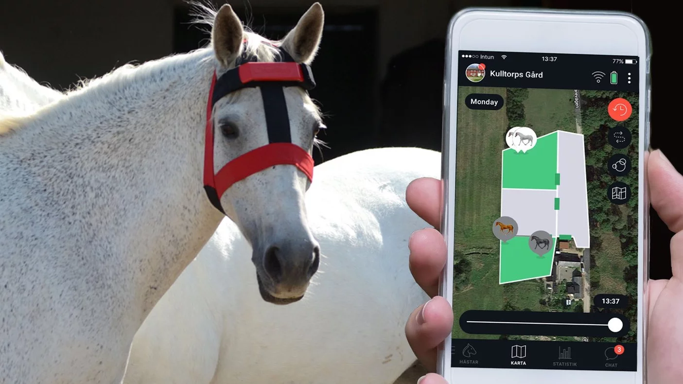 The HoofStep head unit communicates with an app on the user's phone