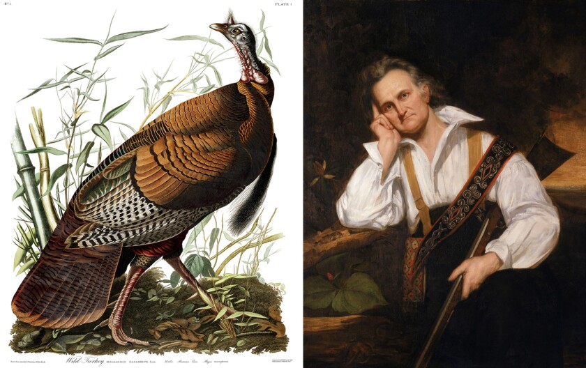 This Aquatint Engraving of a Male Turkey by John James Audubon sold for $190,500 at Arader Galleries on September 24, 2017