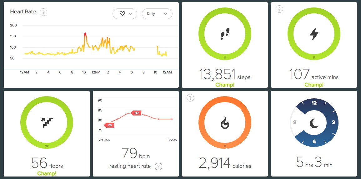 The Fitbit web dashboard presents activity history in a nice clean layout