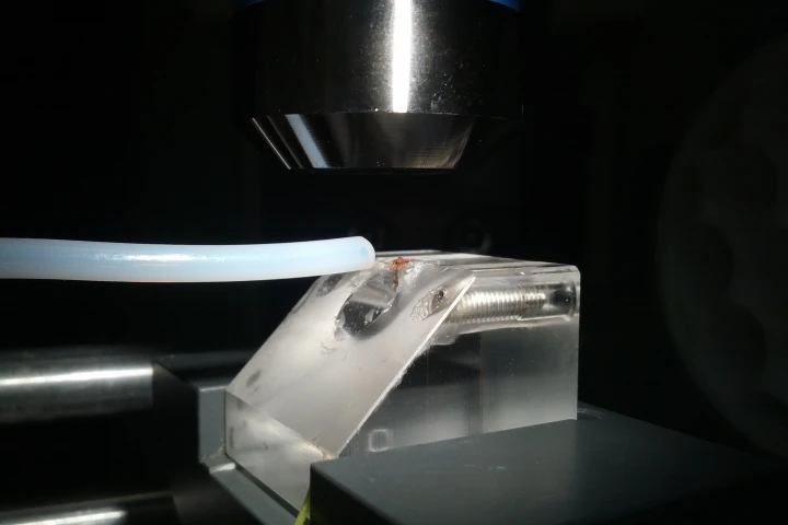 A fruit fly sits on a podium in the middle of the picture, while scents are emitted from the tube on the left and directed towards the fly