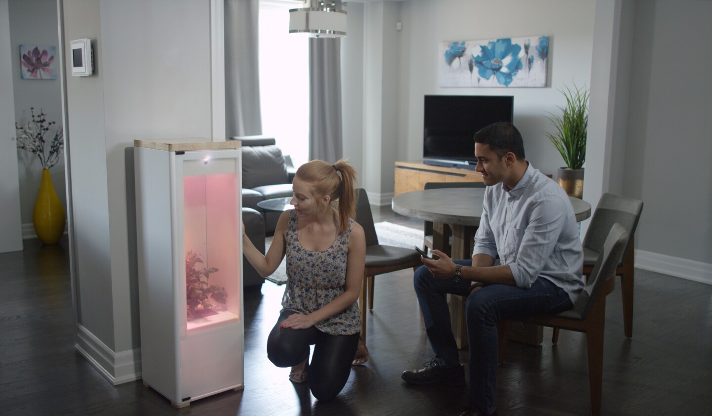 Grobo lets users manually adjust the LED color wavelength, intensity, and cycles in order to promote desired growth