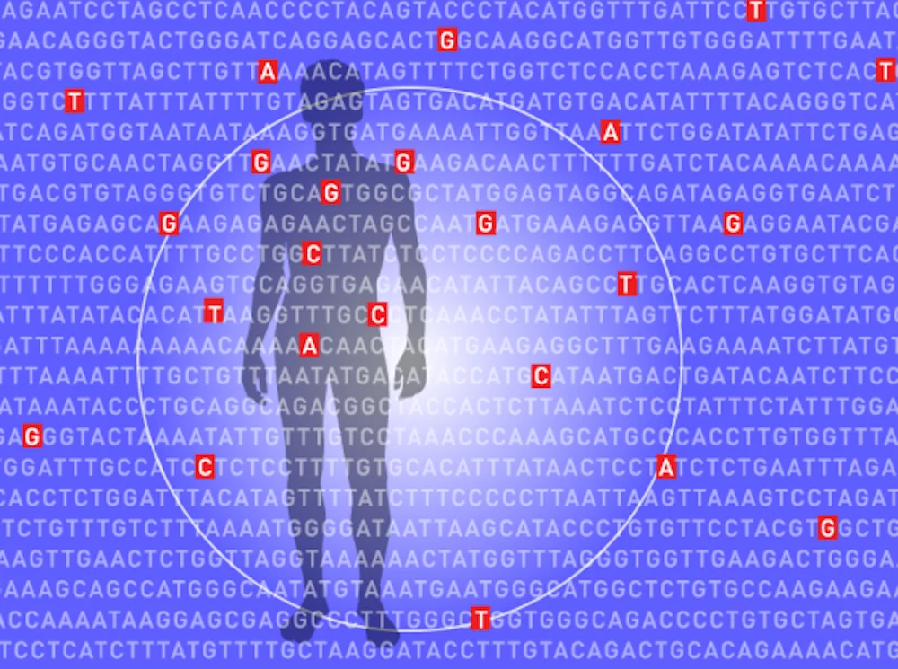 The algorithm examines millions of places in a single genome to calculate a person's overall genomic risk factor for developing certain diseases