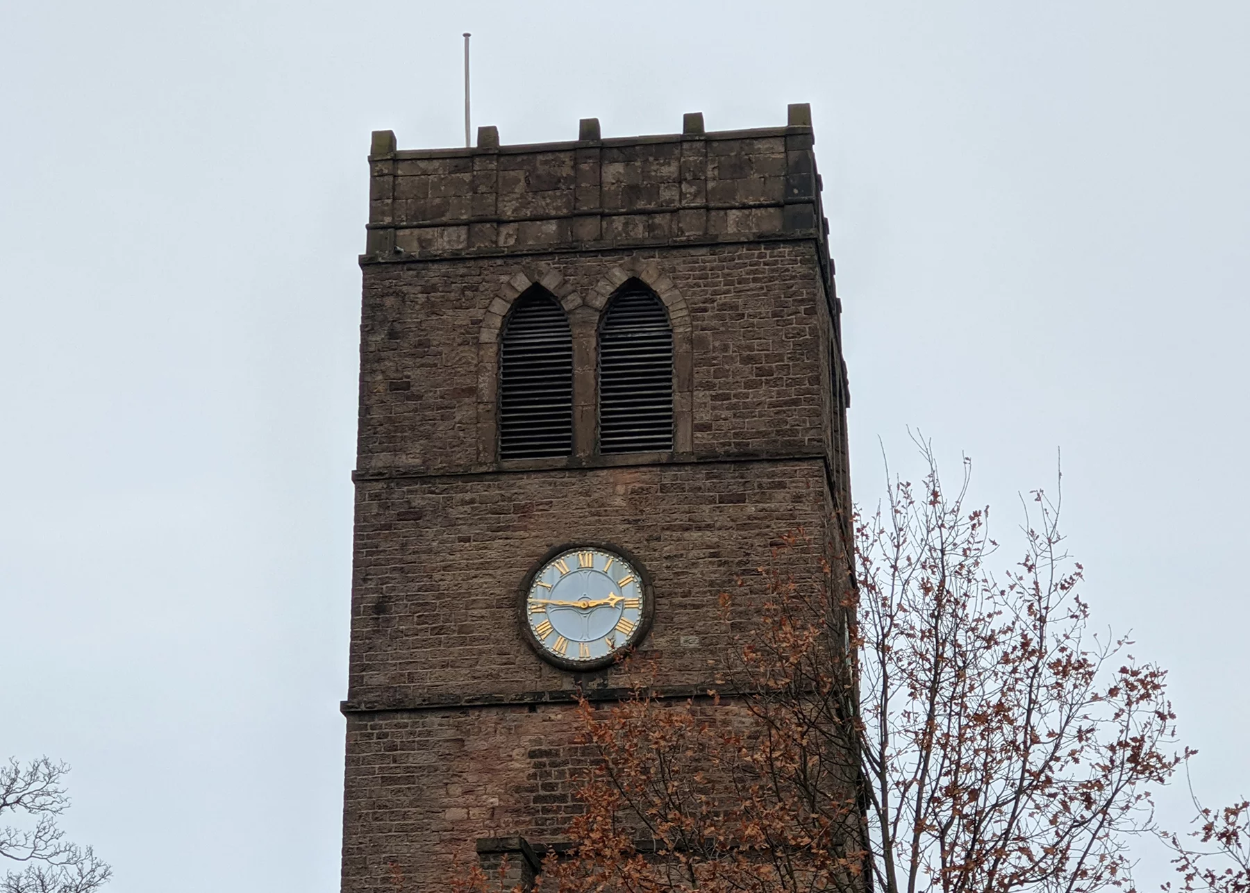 Here we're using 3x zoom, but the Pixel algorithms keep the image looking sharp and vibrant