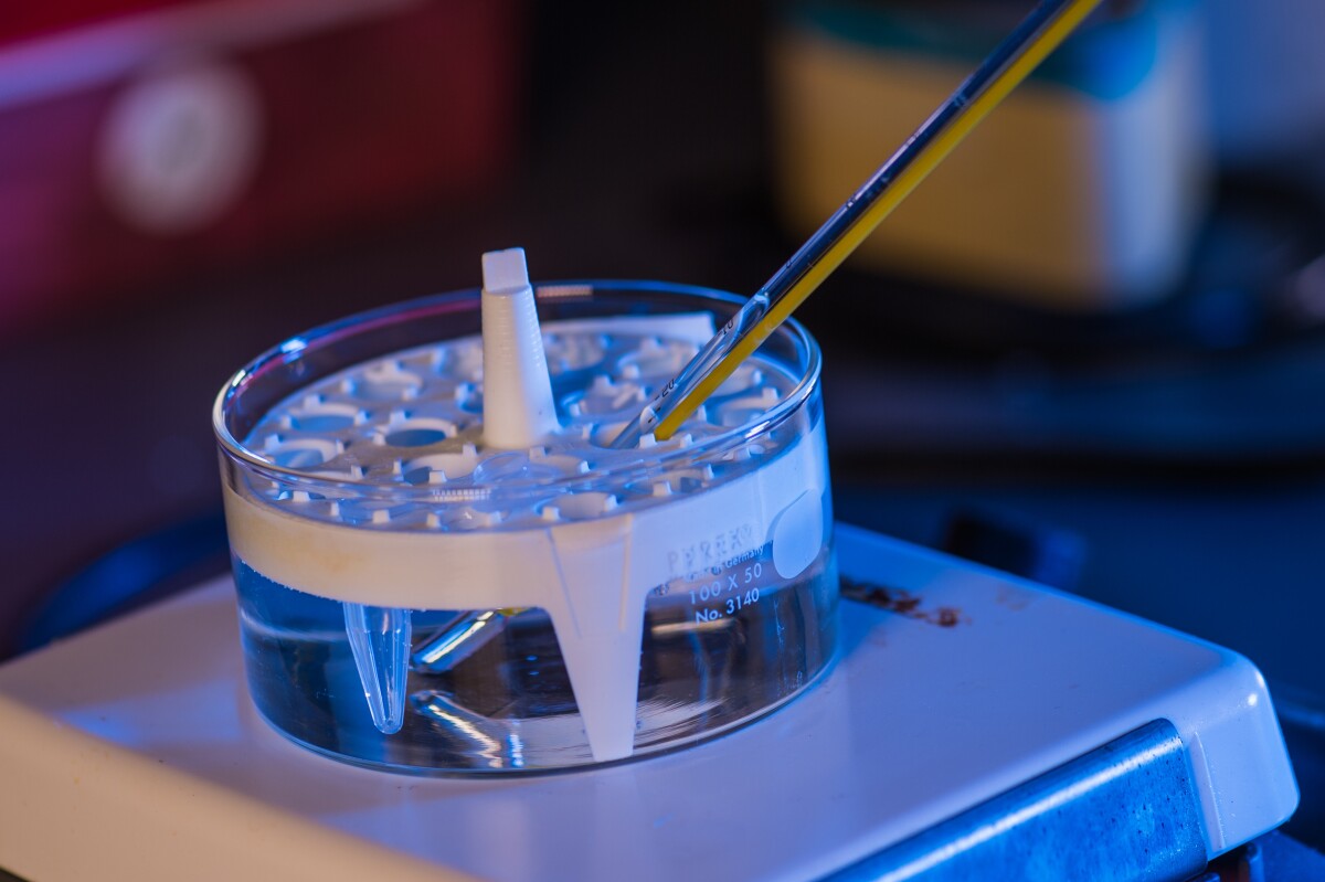 The scientists added chemical cross-linkers to the gel, to keep it from shrinking as it solidifies