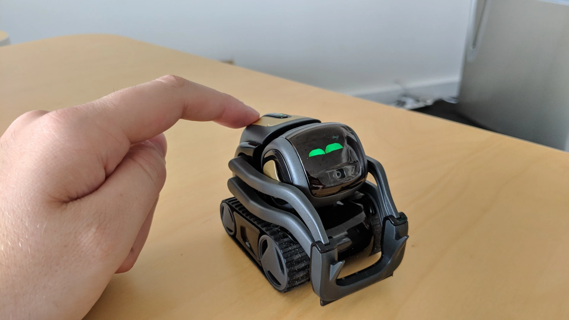 Vector reacts well when he's being petted