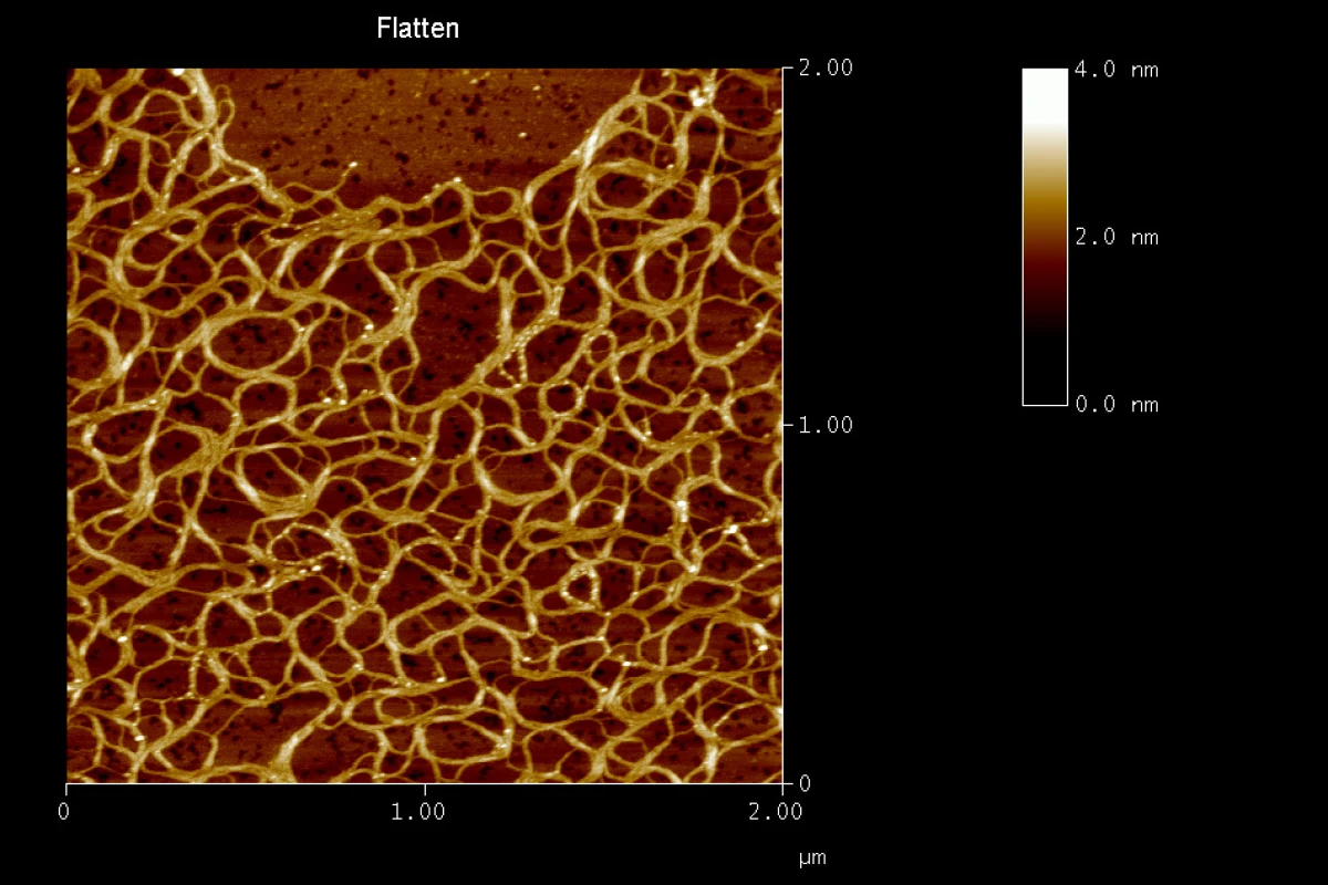 The super gel's "nano ropes," linked together to form a net-like structure (Photo: Radboud University Nijmegen)