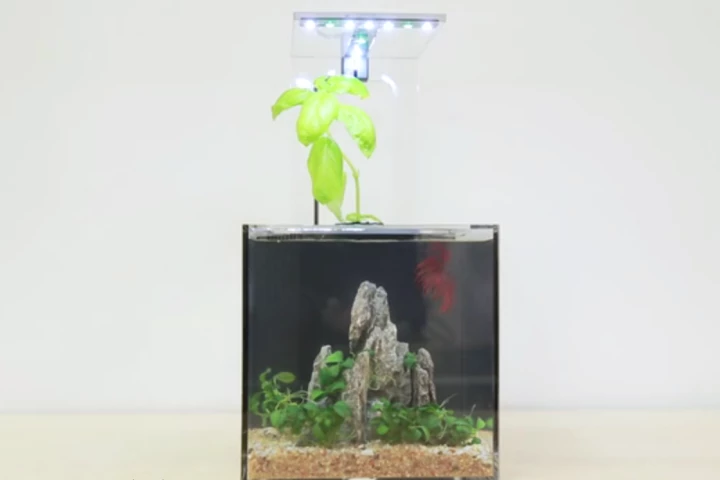 The EcoQube C reportedly doesn't need to be cleaned by its owner