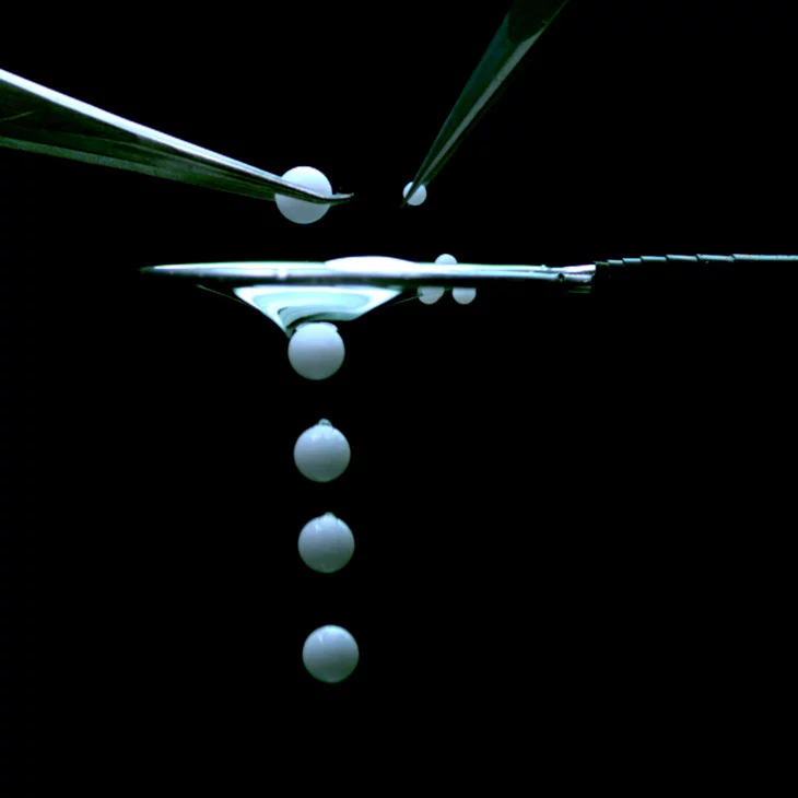 Large particles pass through reverse liquid filter while smaller particles remain behind