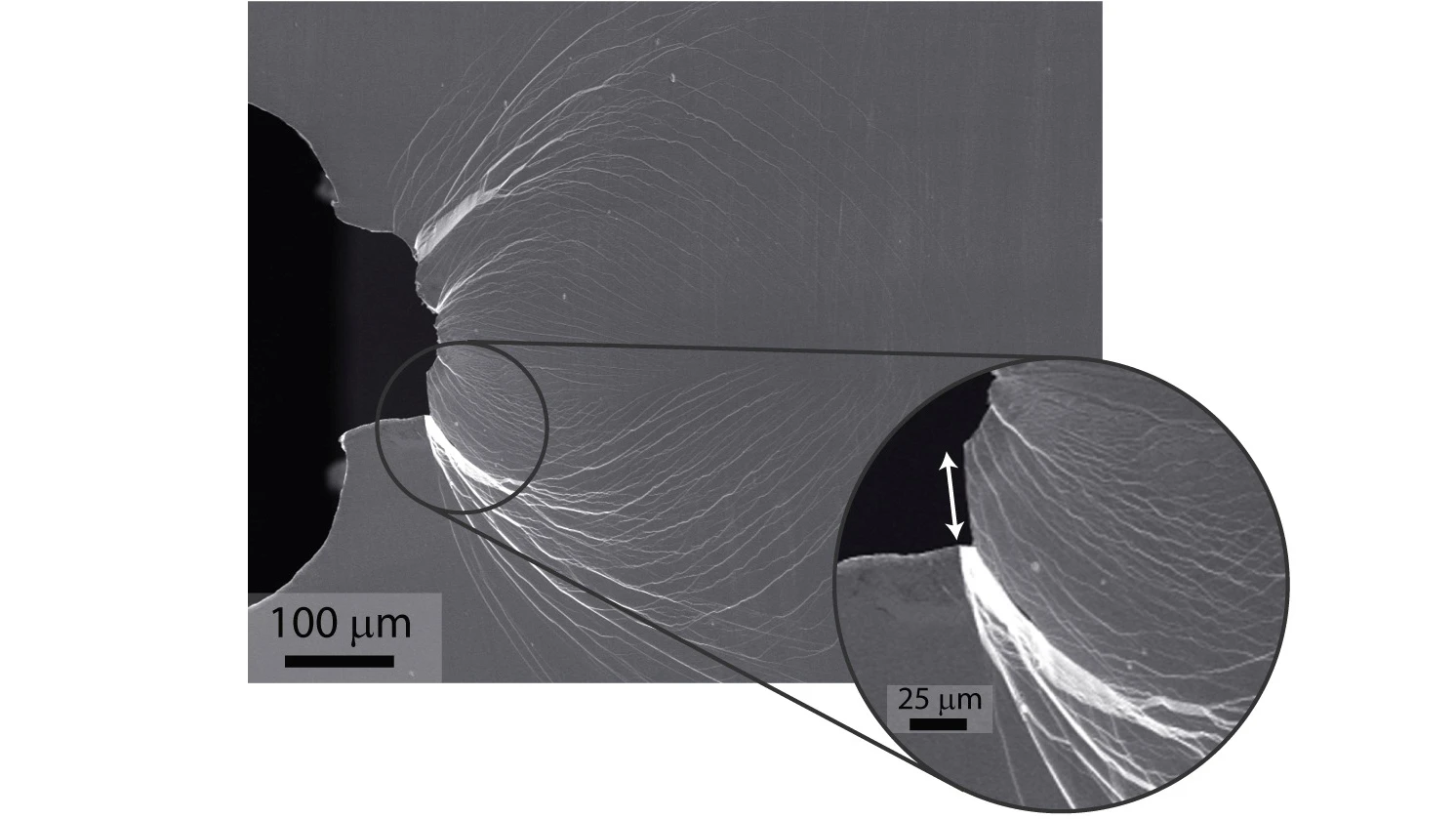 Main image shows extensive plastic shielding of an initially sharp crack. Inset is a magnified view of a shear offset (arrow) developed during plastic sliding before the crack opened. Image: Robert Ritchie and Marios Demetriou