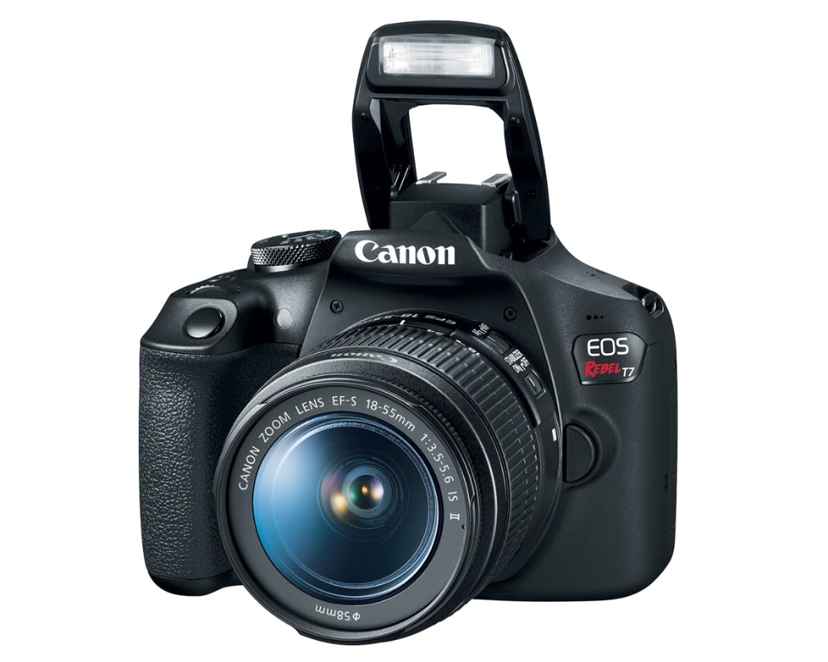 The EOS Rebel T7 features a 24.1 MP APS-C sensor and Digic 4+ image processor